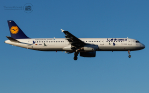D-AIRR