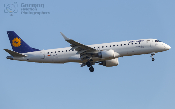 D-AECF