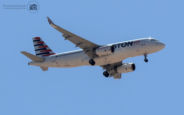 LY-DOM